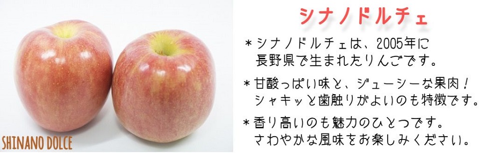 りんご シナノドルチェ 家庭用 5kg 菅谷さんのりんご 沖縄県への配送不可 2026年9月下旬頃から2026年10月上旬頃まで順次発送予定 令和8年度出荷分 信州 果物 フルーツ リンゴ 林檎 長野 予約 農家直送 長野県 飯綱町 [1447]