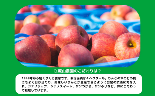 りんご シナノスイート 秀  特秀 5kg 原山農園 沖縄県への配送不可 2024年10月中旬頃から2024年11月上旬頃まで順次発送予定 令和6年度収穫分 信州 果物 フルーツ リンゴ 林檎 長野 16000円 予約 農家直送 長野県 飯綱町 [0783]