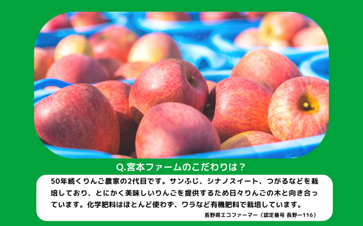 りんご シナノスイート 訳あり 5kg 令和6年度収穫分 沖縄県への配送不可 2024年10月中旬頃から2024年11月上旬頃まで順次発送予定 宮本ファーム エコファーマー 減農薬栽培 長野県 飯綱町 [1490]