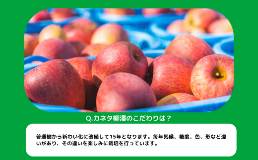 りんご サンふじ 家庭用 5kg カネタ?裄V 沖縄県への配送不可 2023年11月下旬頃から2023年12月下旬頃まで順次発送予定 令和5年度収穫分 長野県 飯綱町 [1474]