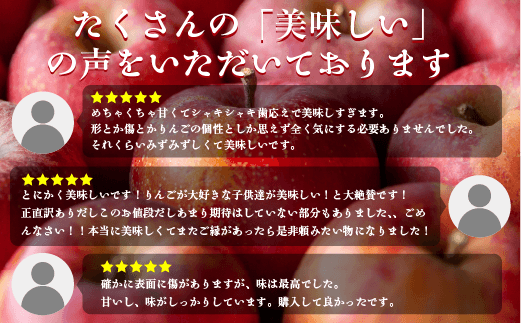 3/20終了※ りんご ５Kg 【令和６年度先行予約】 果物 サンふじ 訳あり