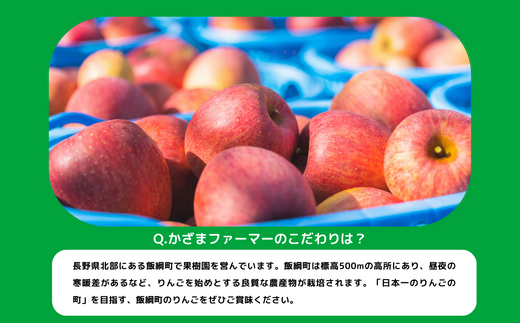 りんご サンふじ 秀～特秀 10kgかざまファーマー 沖縄県への配送不可 2023年11月中旬頃から2024年3月上旬頃まで順次発送予定 令和5年度収穫分 信州 果物 フルーツ リンゴ 林檎 長野 26000円 予約 農家直送 長野県 飯綱町 [0257]