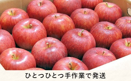 りんご サンふじ 秀 ～ 特秀 5kg ヒライ農園 沖縄県への配送不可 2026年12月上旬頃から2026年12月中旬頃まで順次発送予定 令和8年度収穫分 信州の環境にやさしい農産物認証 減農薬栽培 長野県 飯綱町 [0350]