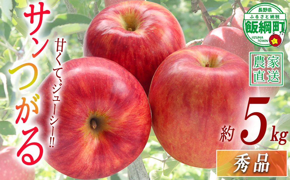 りんご サンつがる 秀 5kg 令和8年度収穫分 沖縄県への配送不可 2026年9月上旬頃から2026年9月中旬頃まで順次発送予定 宮本ファーム エコファーマー 減農薬栽培 津軽 つがる 長野県 飯綱町 [1529]