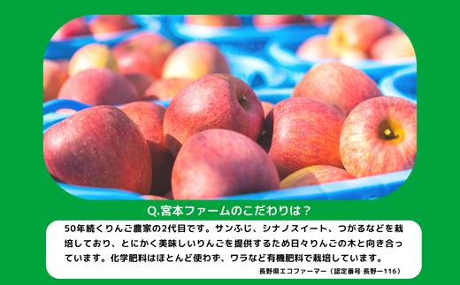 りんご サンつがる 秀 5kg 令和8年度収穫分 沖縄県への配送不可 2026年9月上旬頃から2026年9月中旬頃まで順次発送予定 宮本ファーム エコファーマー 減農薬栽培 津軽 つがる 長野県 飯綱町 [1529]