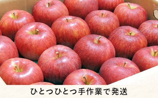 りんご サンふじ 秀 ～ 特秀 5kg 渡辺農園 沖縄県への配送不可 2024年12月上旬頃から2025年1月中旬頃まで順次発送予定 令和6年度収穫分 エコファーマー認定 減農薬栽培 長野県 飯綱町 [0169]