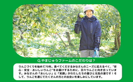 りんご サンふじ 家庭用  秀 3kg やまじゅうファーム 沖縄県への配送不可 2024年11月下旬頃から2024年12月中旬頃まで順次発送予定 令和6年度収穫分 信州の環境にやさしい農産物 減農薬栽培 長野県 飯綱町 [1541]