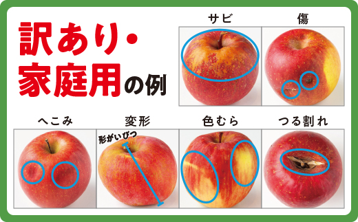 りんご ブラムリー 家庭用 5kg 沖縄県への配送不可 クッキングアップル 2024年8月下旬頃から2024年9月下旬頃まで順次発送予定 ふるさと振興公社 長野県 飯綱町 [1561]