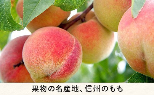 信州 の お中元 ・ お歳暮 （ 2回 定期便 ）  桃 3kg ＆ りんご 5kg Dコース 沖縄県への配送不可 桃 ：2024年8月上旬頃～2024年9月上旬頃まで発送 / りんご：2024年12月上旬頃～2024年12月下旬頃まで発送 ふるさと振興公社  長野県 飯綱町 [0300]