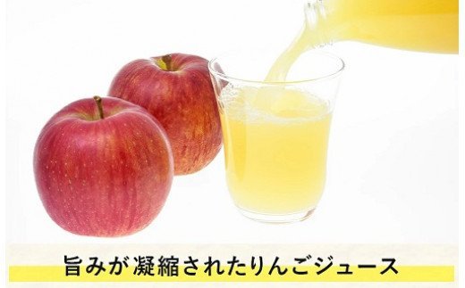 りんごジュース 1000ml × 6本 サンふじ 果汁100％ 寺島農園 沖縄県への配送不可 飲料 果汁飲料 りんご リンゴ 林檎 ジュース 信州 長野県 飯綱町 [0359]