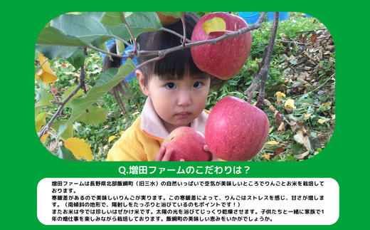 米 はぜかけ こしひかり 5kg × 3回 【 3か月 定期便 】( 令和5年産