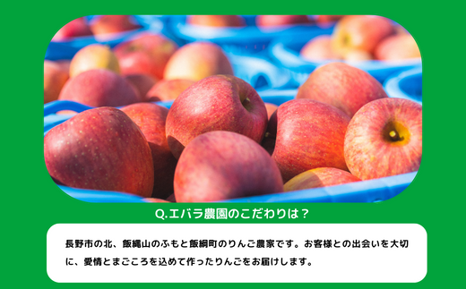 りんご シナノスイート 家庭用 5kg エバラ農園 沖縄県への配送不可 2024年10月上旬頃から2024年11月中旬頃まで順次発送予定 令和6年度収穫分 信州 果物 フルーツ リンゴ 林檎 長野 13000円 予約 農家直送 長野県 飯綱町 [1631]