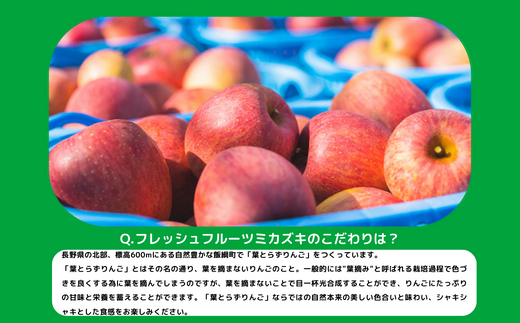 りんご 葉とらず サンふじ 秀～特秀 3kg フレッシュフルーツミカズキ 沖縄県への配送不可 2024年11月中旬頃から2025年1月下旬頃まで順次発送予定 令和6年度収穫分 信州 果物 フルーツ リンゴ 林檎 長野 15000円 予約 農家直送 長野県 飯綱町 [1664]