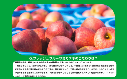 特価正規品】 りんご シナノスイート 約5kg 秀 令和5年産 2023年産