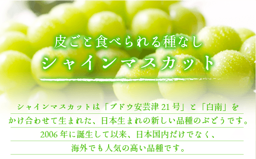 ぶどう シャインマスカット 訳あり 1kg 以上 ながの農業協同組合 配送先は本州限定 2024年10月上旬頃から2024年10月下旬頃まで順次発送予定 令和6年度収穫分 ブドウ マスカット フルーツ 果物 長野県 飯綱町 [1692]