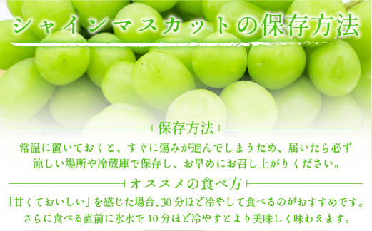 ぶどう シャインマスカット 訳あり 1kg 以上 ながの農業協同組合 配送先は本州限定 2024年10月上旬頃から2024年10月下旬頃まで順次発送予定 令和6年度収穫分 ブドウ マスカット フルーツ 果物 長野県 飯綱町 [1692]