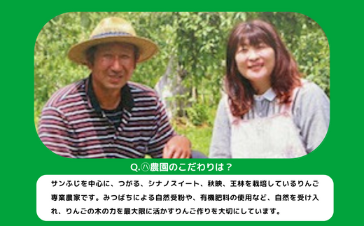 りんご サンつがる 家庭用 5kg マルハ農園 沖縄県への配送不可 2024年9月上旬頃から2024年9月中旬頃まで順次発送予定 令和6年度収穫分 エコファーマー認定 信州 果物 フルーツ リンゴ 林檎 長野 13000円 予約 農家直送 長野県 飯綱町 [1620]