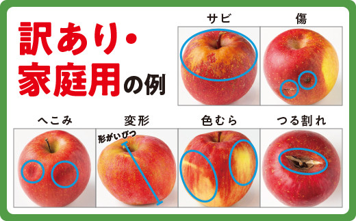 りんご サンつがる 家庭用 5kg マルハ農園 沖縄県への配送不可 2024年9月上旬頃から2024年9月中旬頃まで順次発送予定 令和6年度収穫分 エコファーマー認定 信州 果物 フルーツ リンゴ 林檎 長野 13000円 予約 農家直送 長野県 飯綱町 [1620]