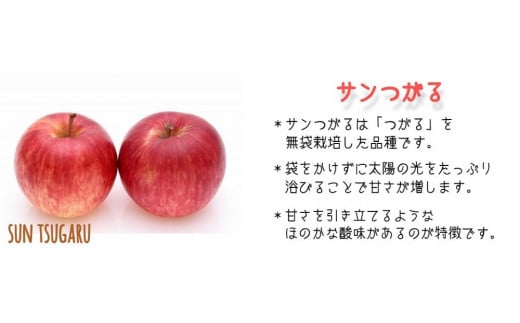 りんご サンつがる 秀  特秀 3kg マルハ農園 沖縄県への配送不可 2024年9月上旬頃から2024年9月中旬頃まで順次発送予定 令和6年度収穫分 エコファーマー認定 信州 果物 フルーツ リンゴ 林檎 長野 9000円 予約 農家直送 長野県 飯綱町 [1621]