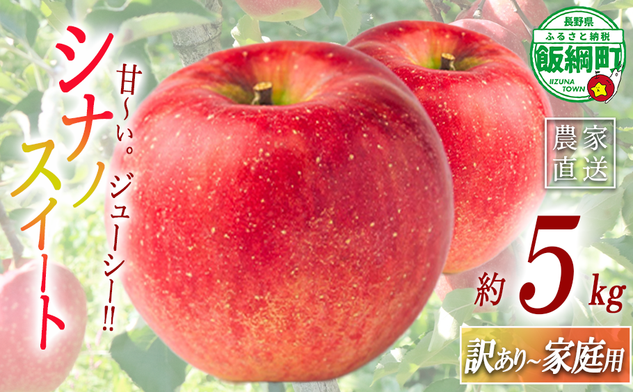 りんご シナノスイート 訳あり～ 家庭用 5kg マルハ農園 沖縄県への配送不可 2026年10月上旬頃から2026年10月下旬頃まで順次発送予定 令和8年度収穫分 エコファーマー認定 信州 果物 フルーツ リンゴ 林檎 長野 予約 農家直送 長野県 飯綱町 [1623]