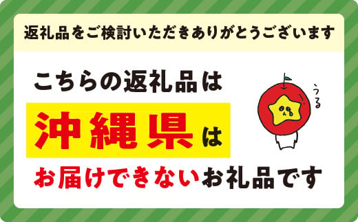 りんご シナノスイート 秀  特秀 3kg マルハ農園 沖縄県への配送不可 2024年10月上旬頃から2024年11月上旬頃まで順次発送予定 令和6年度収穫分 エコファーマー認定 信州 果物 フルーツ リンゴ 林檎 長野 12000円 予約 農家直送 長野県 飯綱町 [1624]