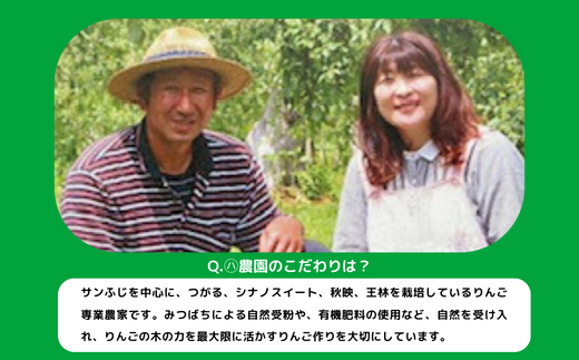 旬のりんご 【 定期便 】 家庭用 5kg × 3回 マルハ農園 沖縄県への配送不可 2024年9月上旬頃から2024年12月下旬頃まで順次発送予定 令和6年度収穫分 エコファーマー認定 信州 果物 フルーツ リンゴ 林檎 長野 39000円 予約 農家直送 長野県 飯綱町 [1640]