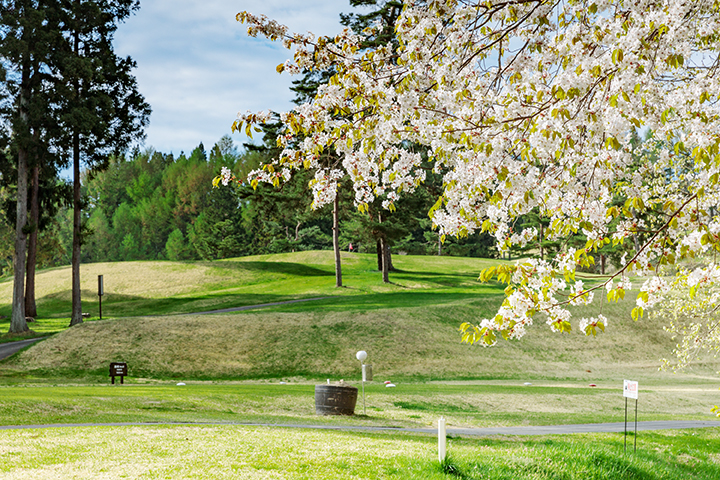 長野国際カントリークラブ ゴルフ プレー 優待券 ＜ 3,000円分 ＞ 複数口のお申込み可能 ネコポスにてお届け 長野国際CC 割引 お得 ゴルフ場 ゴルフクラブ 利用券 補助券 プレー券 平日 休日 女性 男性 チケット スポーツ 11500円 長野県 飯綱町 [1436]