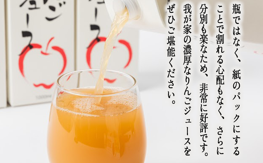 りんごジュース 1000ml×12本 無添加 酸化防止剤不使用 果汁100% 紙パック アグリファーム小林 お申込み順に発送予定 信州の環境にやさしい農産物認証 29000円 農家直送 長野県 飯綱町 [1697]