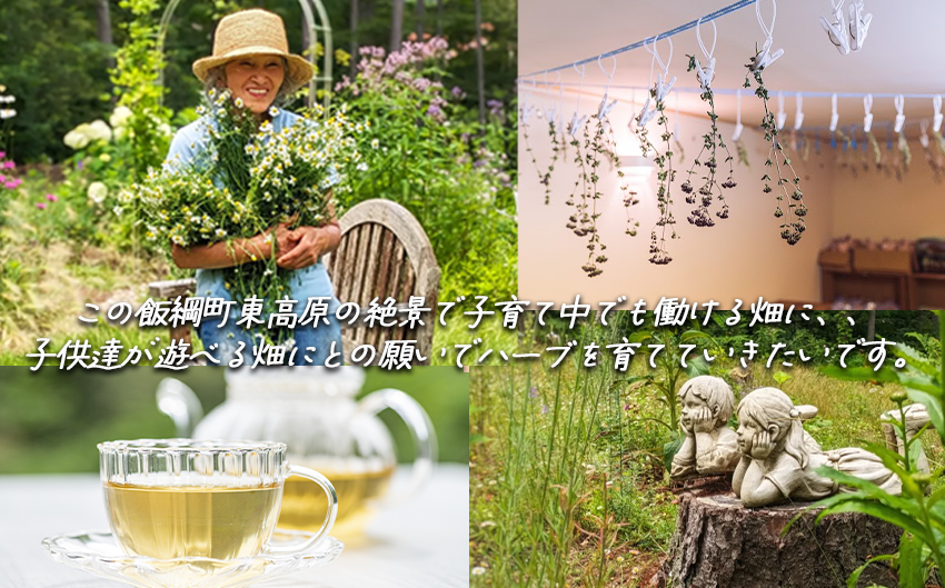 ハーブティー 1袋 ( 5g ) 種類おまかせ 飯綱ハーバルブリーズ 飲料 ハーブ ティー お茶 ミント マロウ キンセンカ シャクヤク カモミール 信州 5500円 長野県 飯綱町 [1750]