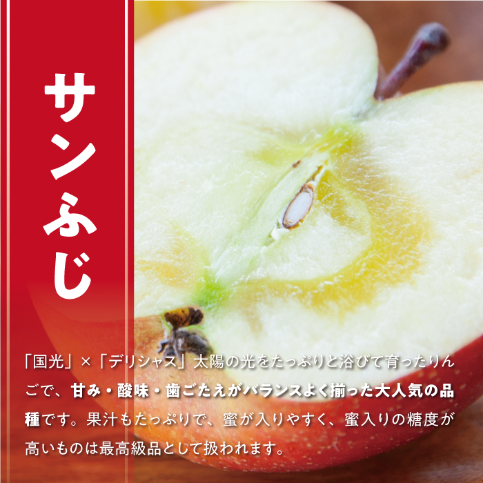 りんご サンふじ ちょっぴり贅沢な 家庭用 3kg 松澤農園 沖縄県への配送不可 2026年11月下旬頃から2027年2月下旬頃まで順次発送予定 令和8年度収穫分 長野県 飯綱町 [1808]