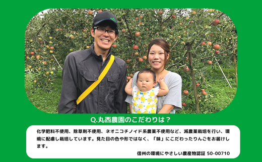 りんご サンふじ 秀 〜 特秀 5kg 丸西農園 沖縄県への配送不可 2026年12月中旬頃から2027年1月上旬頃まで順次発送予定 令和8年度収穫分 特別栽培農産物 ( 除草剤 化学肥料 不使用 ) 信州 果物 フルーツ リンゴ 林檎 長野 予約 農家直送 長野県 飯綱町 [0508]