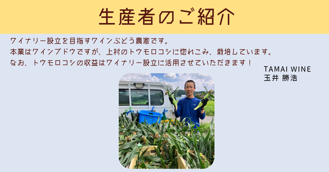 【 冷蔵 クール 】 朝採り トウモロコシ 熊さんのごちそうコーン 20本 ～ 22本 品種 ゴールドラッシュ TAMAI WINE 配送先は本州限定 2025年8月上旬頃から2025年8月下旬頃まで順次発送予定 令和7年度収穫分 信州 野菜 とうもろこし コーン 長野 22000円 予約 農家直送 長野県 飯綱町 [1787]