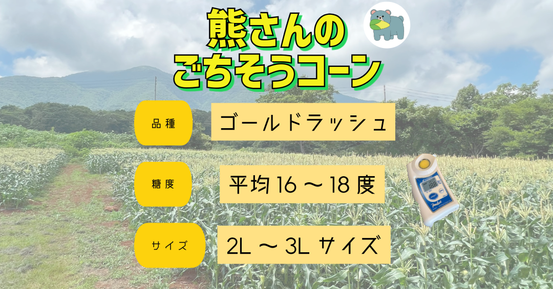 【 冷蔵 クール 】 朝採り トウモロコシ 熊さんのごちそうコーン 20本 ～ 22本 品種 ゴールドラッシュ 合同会社TAMAI WINE　配送先は本州限定 2026年7月下旬頃から2026年8月下旬頃までお申込み順に発送予定まで順次発送予定 令和8年度収穫分 信州 野菜 とうもろこし コーン 長野 予約 農家直送 長野県 飯綱町 [1787]