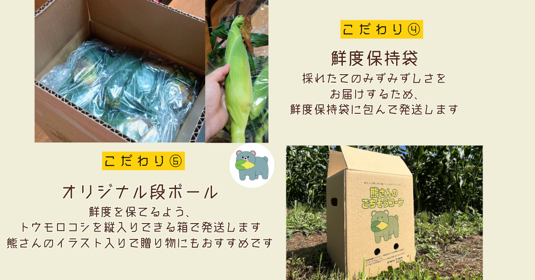 【 冷蔵 クール 】 朝採り トウモロコシ 熊さんのごちそうコーン 20本 ～ 22本 品種 ゴールドラッシュ 合同会社TAMAI WINE　配送先は本州限定 2026年7月下旬頃から2026年8月下旬頃までお申込み順に発送予定まで順次発送予定 令和8年度収穫分 信州 野菜 とうもろこし コーン 長野 予約 農家直送 長野県 飯綱町 [1787]