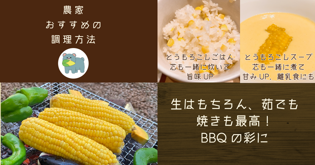 【 冷蔵 クール 】 朝採り トウモロコシ 熊さんのごちそうコーン 20本 ～ 22本 品種 ゴールドラッシュ TAMAI WINE 配送先は本州限定 2025年8月上旬頃から2025年8月下旬頃まで順次発送予定 令和7年度収穫分 信州 野菜 とうもろこし コーン 長野 22000円 予約 農家直送 長野県 飯綱町 [1787]