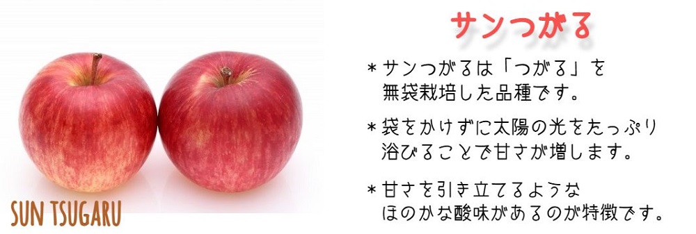 りんご サンつがる 家庭用 5kg 沖縄県への配送不可 2026年9月上旬から2026年9月中旬まで順次発送予定 令和8年度収穫分 静谷りんご園 減農薬栽培 信州の環境にやさしい農産物認証 長野県 飯綱町 [1788]