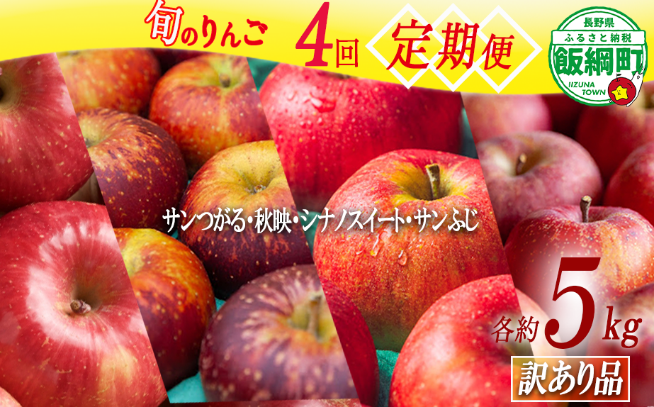 旬のりんご 【 定期便 】 訳あり 4.5kg～5kg × 4回 松橋りんご園 沖縄県への配送不可 2026年9月上旬頃から2026年12月下旬頃まで順次発送予定 令和8年度収穫分 フルーツ リンゴ 信州 長野県 飯綱町 [1840]
