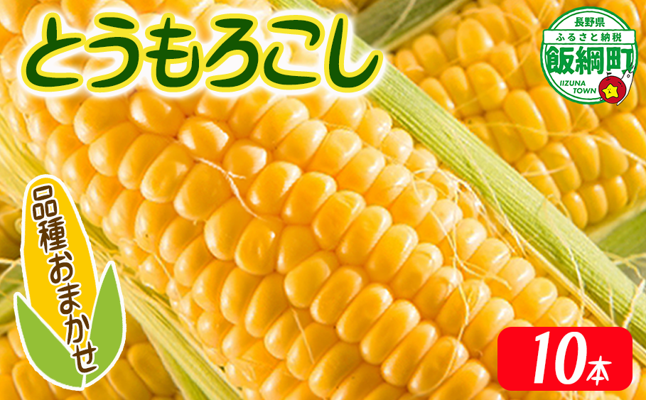 【 厳選品種 】 とうもろこし 10本 （ 品種おまかせ ） 配送先は本州限定 ふるさと振興公社 2025年8月下旬頃から2025年9月上旬頃まで順次発送予定 信州 トウモロコシ コーン ゴールドラッシュ ミルフィーユ グラビス ピーターコーン ハニーバンタム 長野県 飯綱町 [1841]