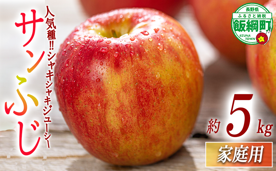 りんご サンふじ 家庭用 5kg 相澤農園 2025年11月中旬頃から2026年2月中旬頃まで順次発送予定 沖縄県への配送不可 令和7年度収穫分 長野県 飯綱町 [1856]
