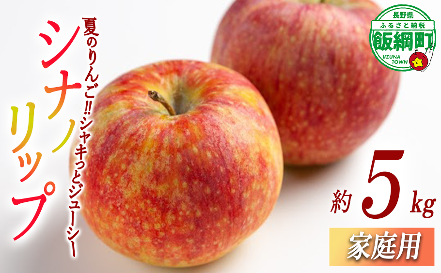 りんご シナノリップ 家庭用 5kg 相澤農園 沖縄県への配送不可 2025年8月中旬頃から2025年9月上旬頃まで順次発送予定 令和7年度収穫分 長野県 飯綱町 [1846]