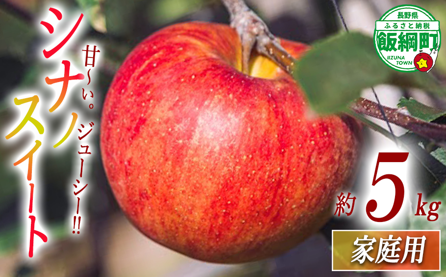 りんご シナノスイート 家庭用 5kg 相澤農園 沖縄県への配送不可 2025年10月中旬頃から2025年11月上旬頃まで順次発送予定 令和7年度収穫分 長野県 飯綱町 [1848]