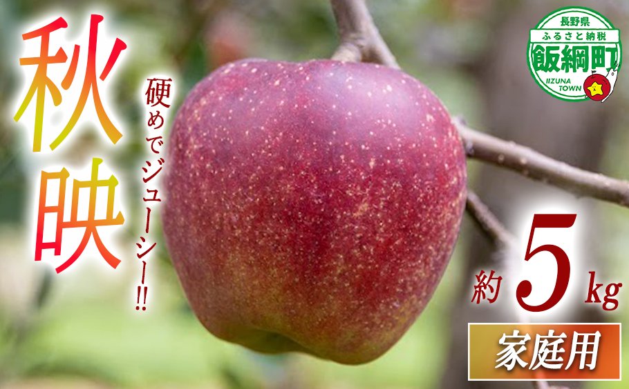 りんご 秋映 家庭用 5kg 永正の地蔵尊神谷農園 沖縄県への配送不可 2025年10月上旬頃から2025年12月上旬頃まで順次発送予定 令和7年度収穫分 信州 果物 フルーツ リンゴ 林檎 長野 12500円 予約 農家直送 長野県 飯綱町 [1863]