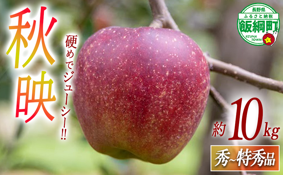 りんご 秋映 秀 〜 特秀 10kg 永正の地蔵尊神谷農園 2025年10月上旬頃から2025年12月上旬頃まで順次発送予定 令和7年度収穫分 信州 果物 フルーツ リンゴ 林檎 長野 25500円 予約 農家直送 長野県 飯綱町 [1862]