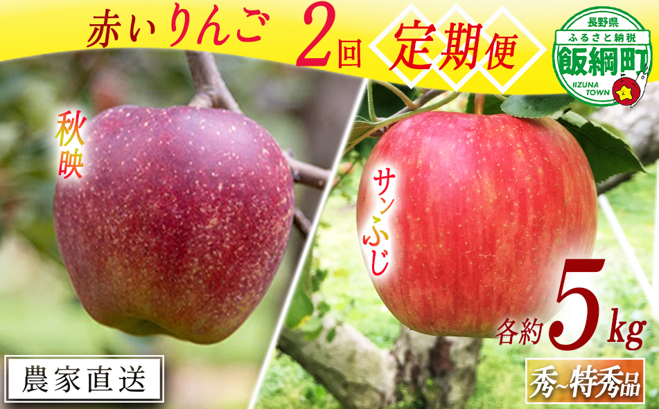 赤いりんご 【 定期便 】 秀 ～ 特秀 5kg × 2回 永正の地蔵尊神谷農園 沖縄県への配送不可 2025年10月上旬頃から2025年12月中旬頃まで順次発送予定 令和7年度収穫分 信州 果物 フルーツ リンゴ 林檎 長野 31000円 予約 農家直送 長野県 飯綱町 [1864]