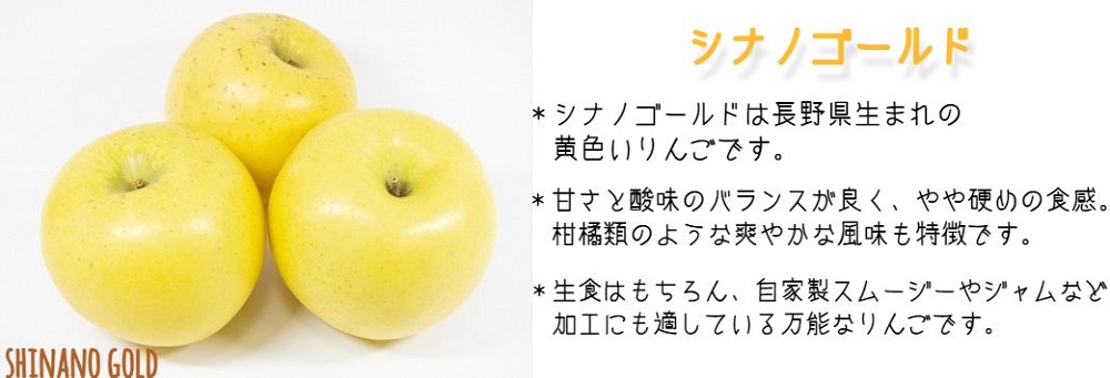 りんご シナノゴールド 家庭用 3kg 相澤農園 2025年11月上旬頃から2026年2月上旬頃まで順次発送予定 沖縄県への配送不可 令和7年度収穫分 長野県 飯綱町 [1852]