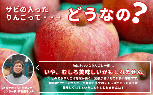 【 感謝りんご / 光センサー選別品 】 りんご シナノゴールド 訳あり 2kg （ 5玉 〜 12玉 ） 交換保証 ながの農業協同組合 沖縄県への配送不可 2026年11月上旬頃から2026年11月下旬頃まで順次発送予定 令和8年度収穫分 傷 不揃い リンゴ 林檎 果物 フルーツ 信州 長野 予約 長野県 飯綱町 [1868]