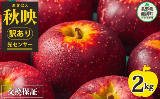 【 感謝りんご / 光センサー選別品 】 りんご 秋映 訳あり 2kg （ 5玉 〜 12玉 ） 交換保証 ながの農業協同組合 沖縄県への配送不可 2025年10月上旬頃から2025年10月下旬頃まで順次発送予定 令和7年度収穫分 傷 不揃い リンゴ 林檎 果物 フルーツ 信州 長野 7000円 予約 長野県 飯綱町 [1866]