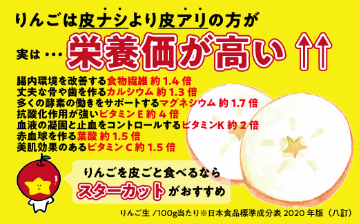 【12月27日締切】りんご サンふじ 5kg （12〜25玉） 訳あり 「 いいづな光選りんご 」 光センサー選果 2024年 令和6年 収穫分 《 ふじ リンゴ 林檎 ふじ 長野 長野県産 傷あり 規格外 訳アリ わけあり 果物 くだもの フルーツ お試し 》 R6年12月～R7年1月発送 長野県 飯綱町 いいづな 光選 りんご《沖縄県への配送不可》 [1903]