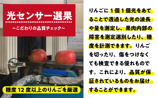 【12月27日締切】りんご サンふじ 10kg （ 24〜50玉 ） 訳あり 「 いいづな光選りんご 」 光センサー選果 2024年 令和6年 収穫分 《 ふじ リンゴ 林檎 ふじ 長野 長野県産 傷あり 規格外 訳アリ わけあり 果物 くだもの フルーツ お試し 》 R6年12月～R7年1月発送 長野県 飯綱町 いいづな 光選 りんご《沖縄県への配送不可》 [1904]