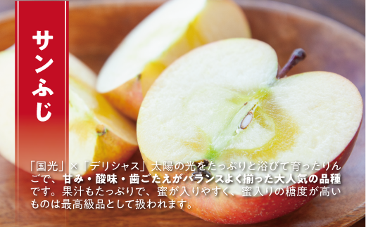 【12月27日締切】りんご サンふじ 10kg （ 24〜50玉 ） 訳あり 「 いいづな光選りんご 」 光センサー選果 2024年 令和6年 収穫分 《 ふじ リンゴ 林檎 ふじ 長野 長野県産 傷あり 規格外 訳アリ わけあり 果物 くだもの フルーツ お試し 》 R6年12月～R7年1月発送 長野県 飯綱町 いいづな 光選 りんご《沖縄県への配送不可》 [1904]